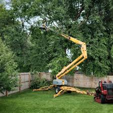 Lawn Maintenance Plans in Irvington, KY